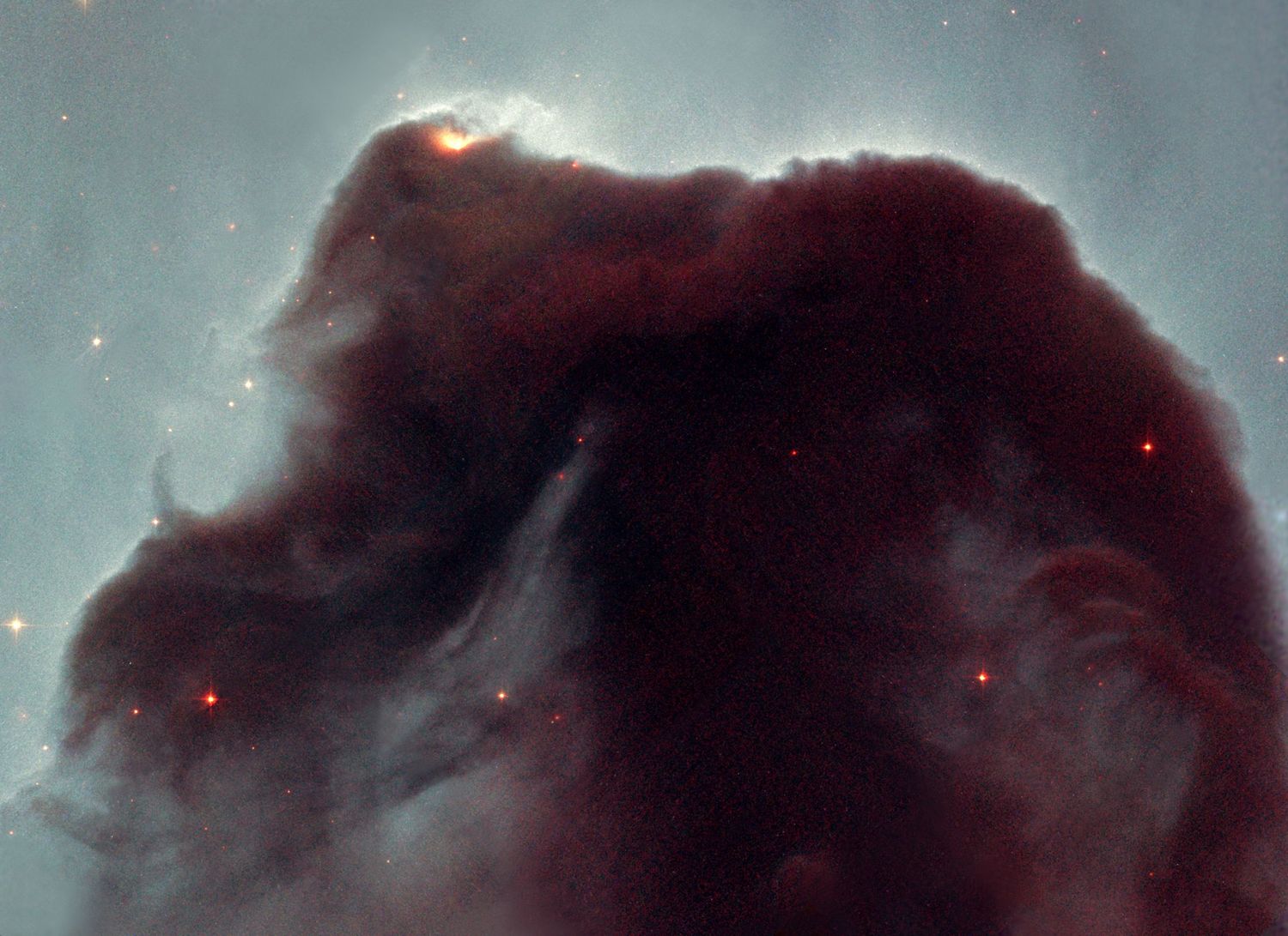 The Horsehead Nebula in infrared, Hubble