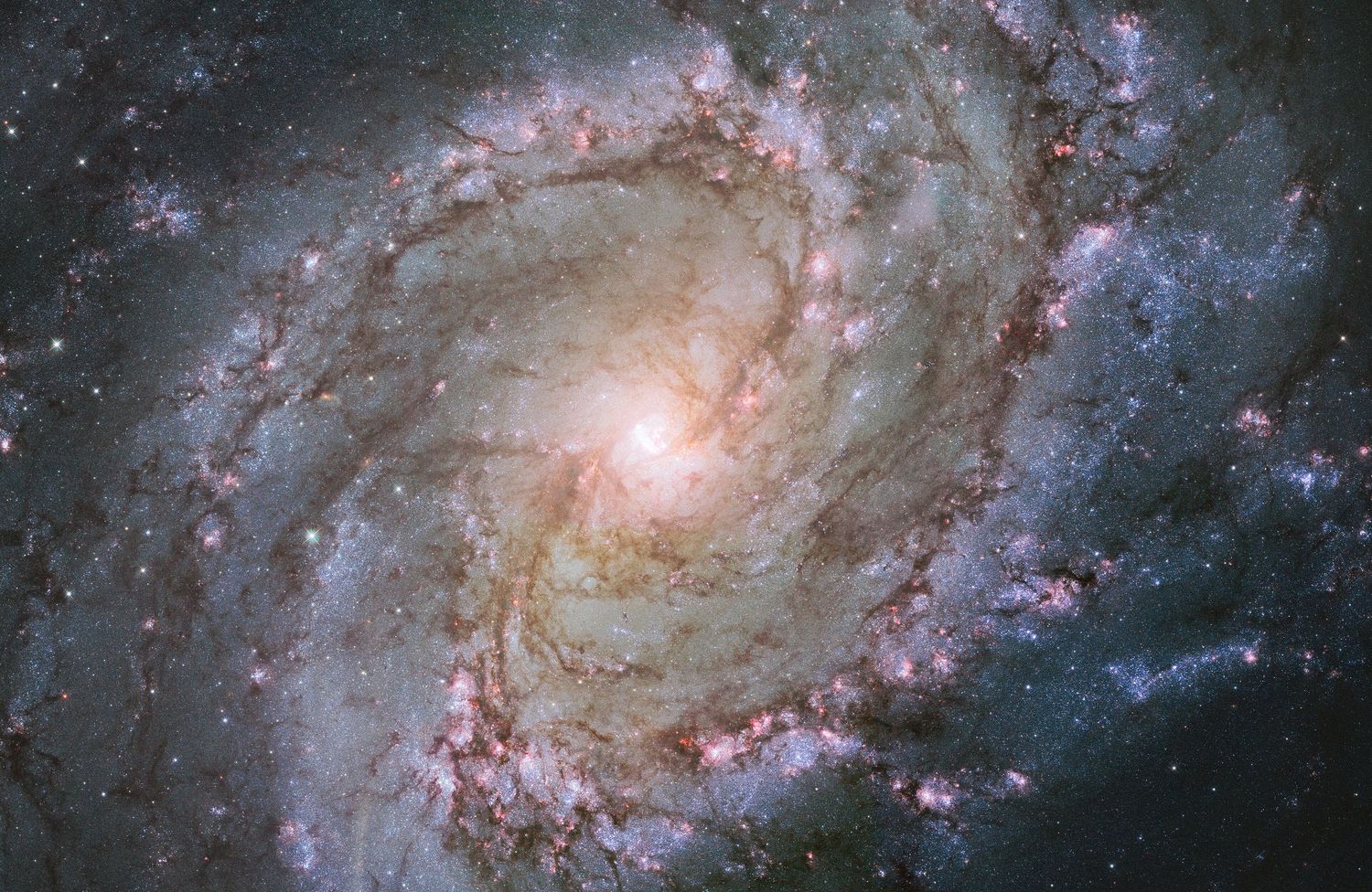 The spiral galaxy Messier 83, Hubble